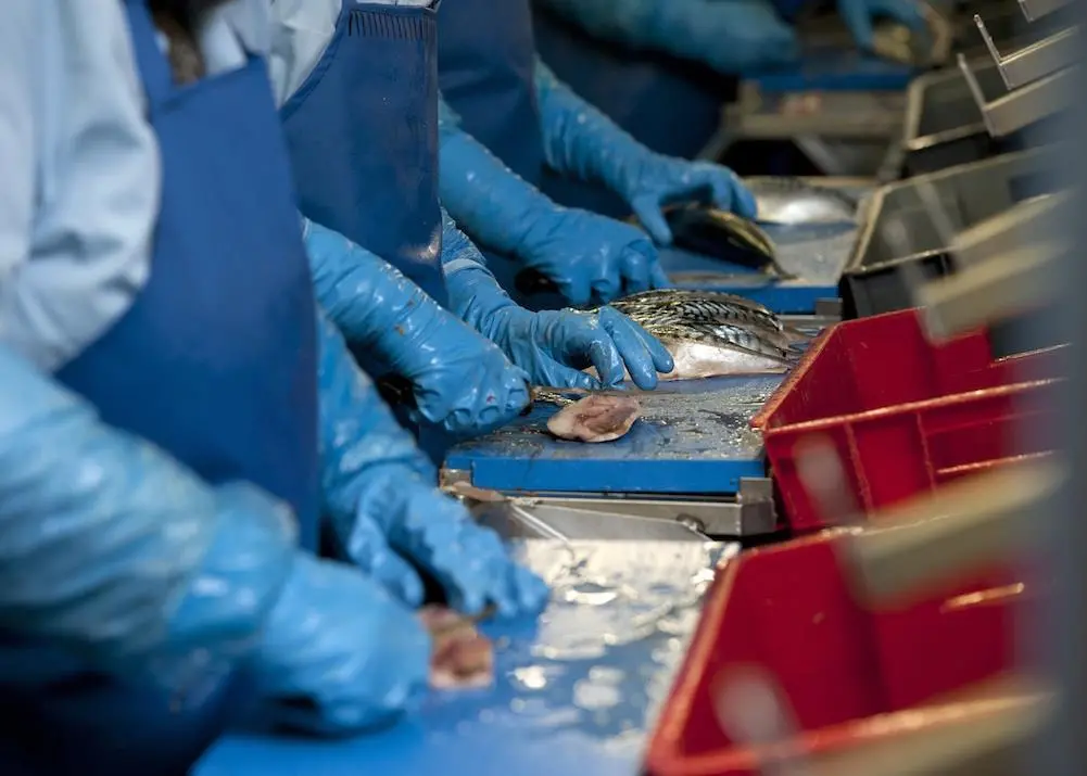 Seafish labour