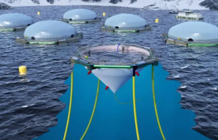 The aim of FlexiFarm is to reduce losses in sea production