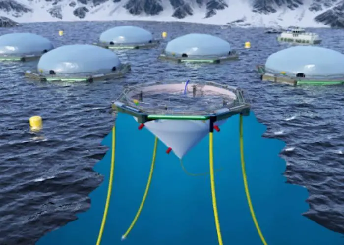The aim of FlexiFarm is to reduce losses in sea production
