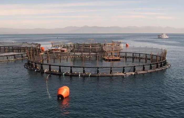 Official launch: Offshore Mariculture Asia