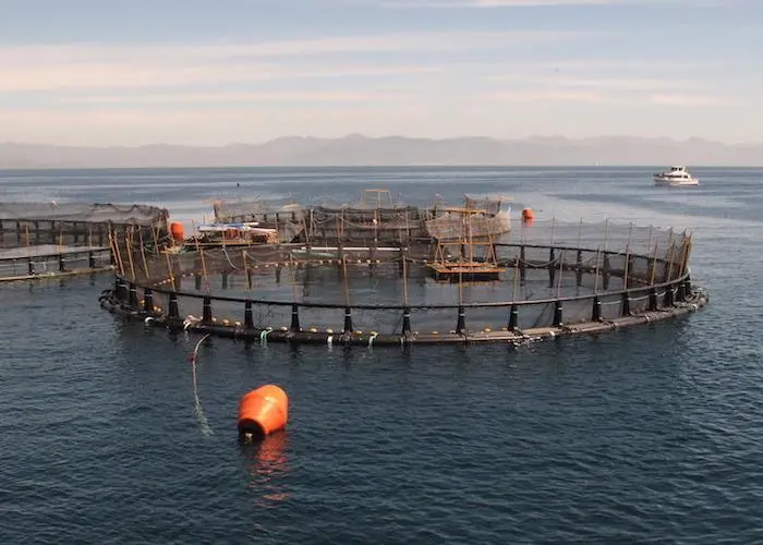 Official launch: Offshore Mariculture Asia