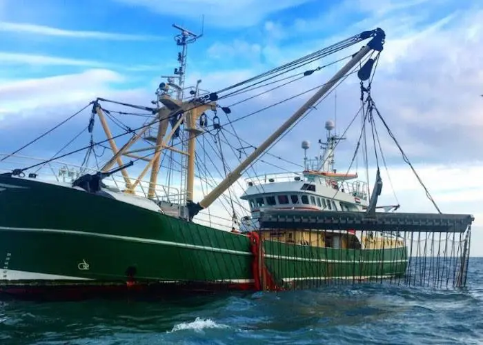Pulse trawl