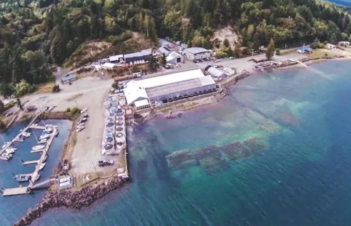 Quilcene oyster hatchery