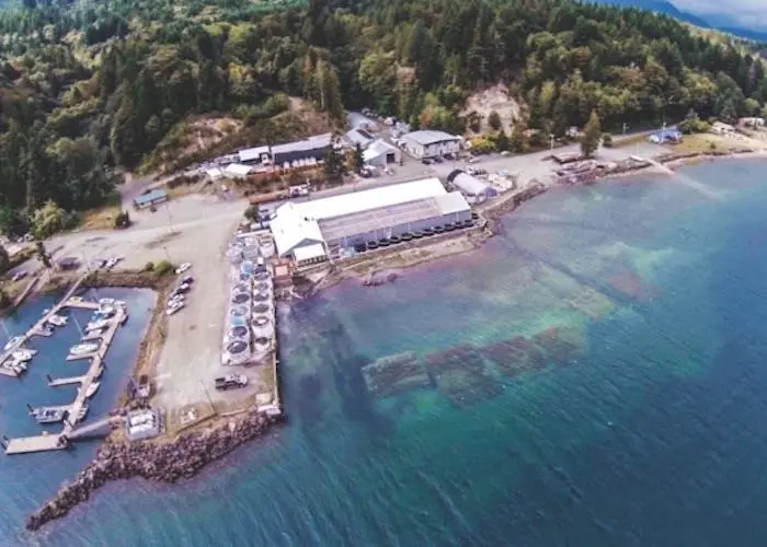 Quilcene oyster hatchery