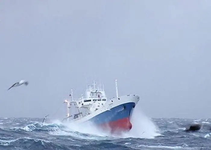 Nuevo Pescanova joins GSSI partnership
