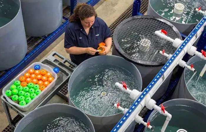 Cargill's fish feed plant in India