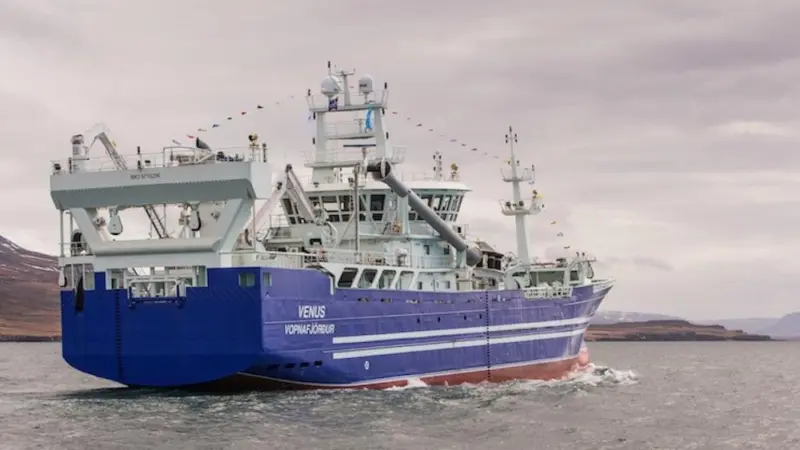 Capelin quota could be higher