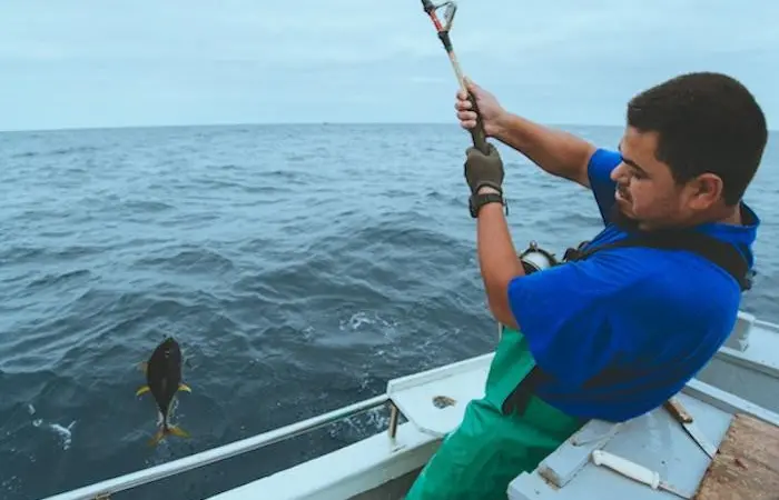 Making the case for one-by-one fishing zones