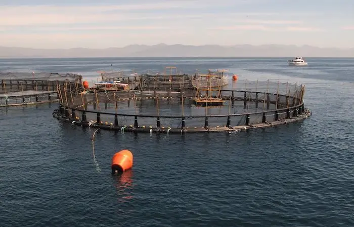 Offshore Mariculture Conference launches in Southeast Asia