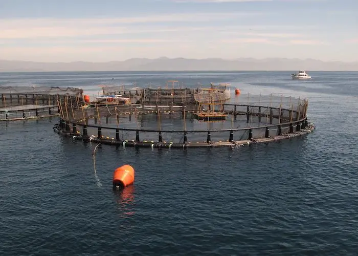 Offshore Mariculture Conference launches in Southeast Asia