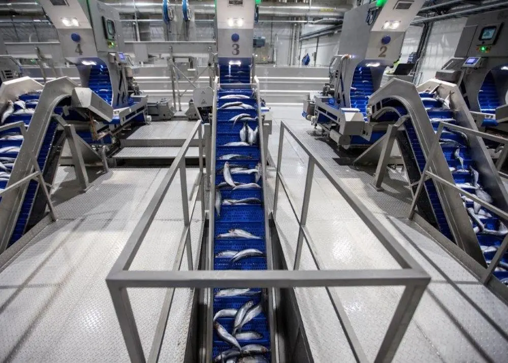 Eskja factory
