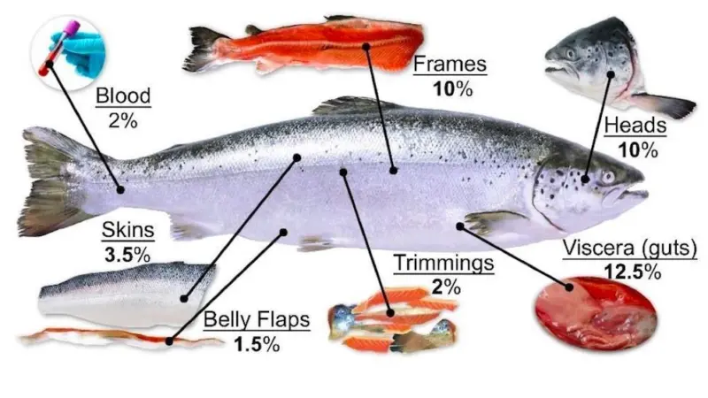 Fish by-products