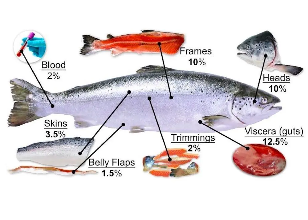 Fish by-products