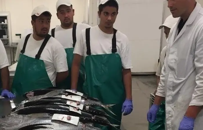 fishery workshops