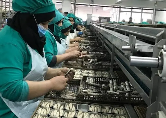Fish processing