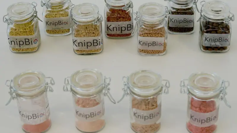KnipBio: A step closer to commercial production