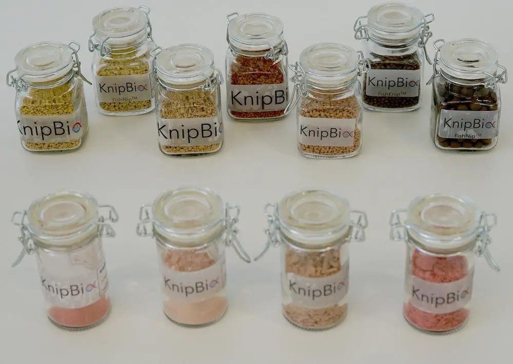 KnipBio: A step closer to commercial production