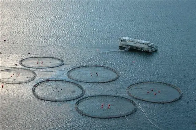 00_66587_Aquakultur-Vestmanna