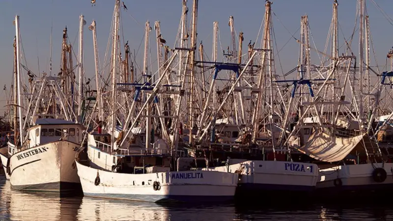 Vessels in Mexico