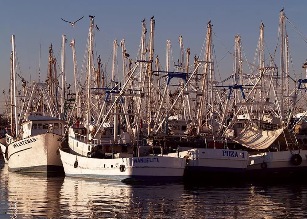 Vessels in Mexico