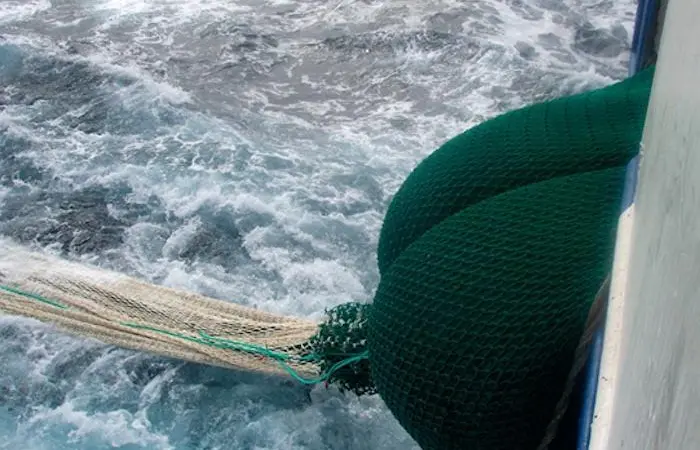 Aquaculture seeks new protein sources