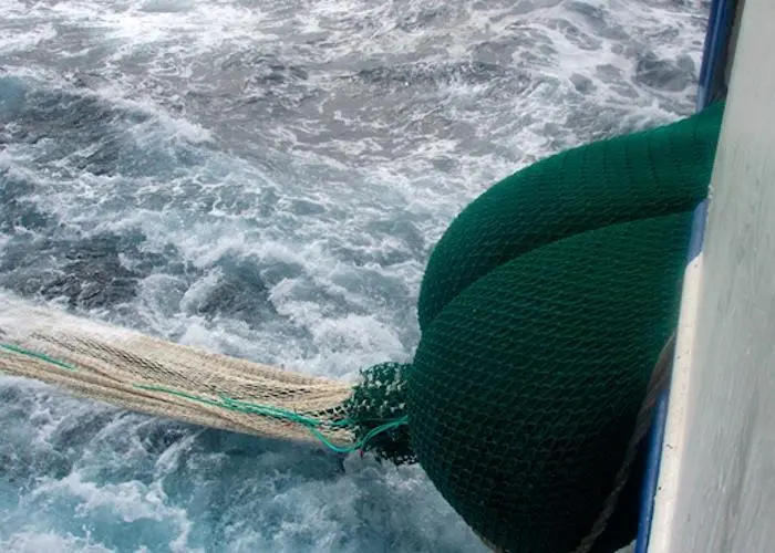 Aquaculture seeks new protein sources