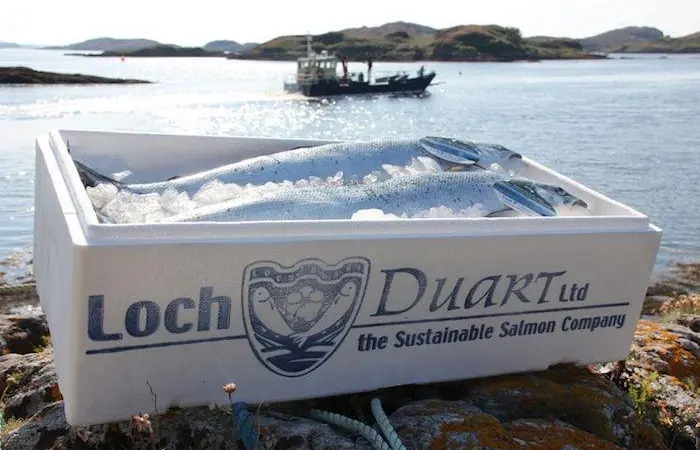 Loch Duart salmon