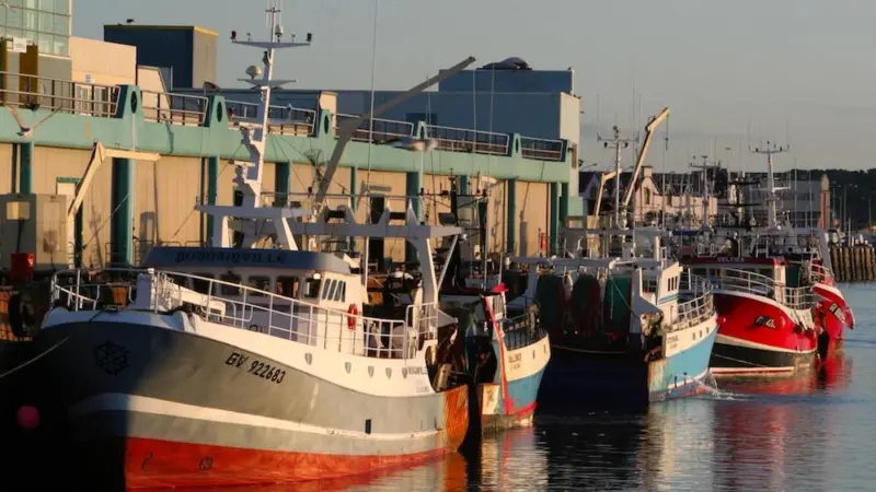 EU fishing boats