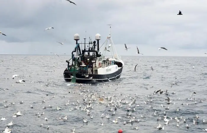 Seafish vessel