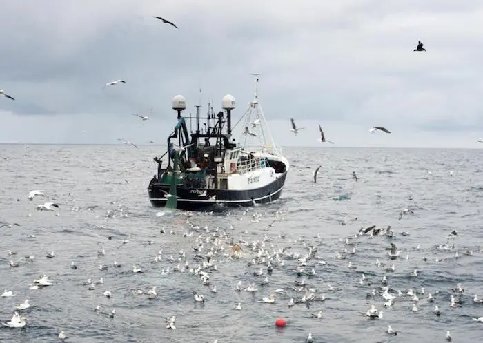 Seafish vessel