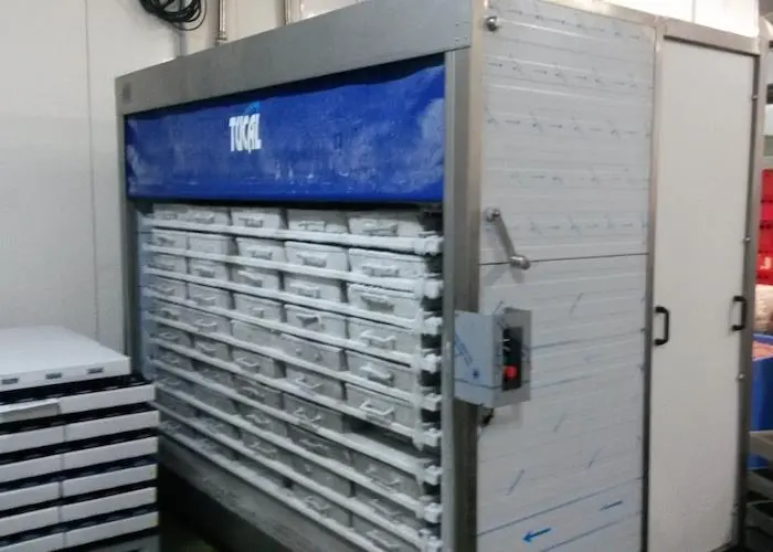 Tucal at Seafood Processing Global