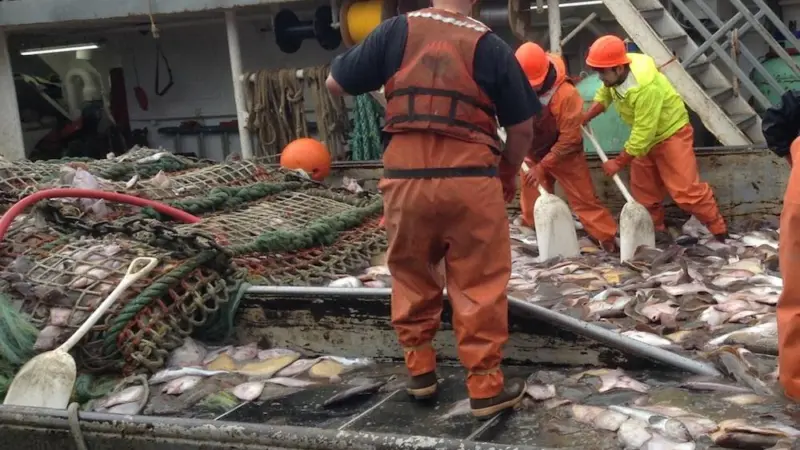 Fishing vessel catch