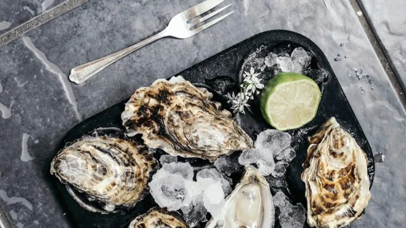 oysters