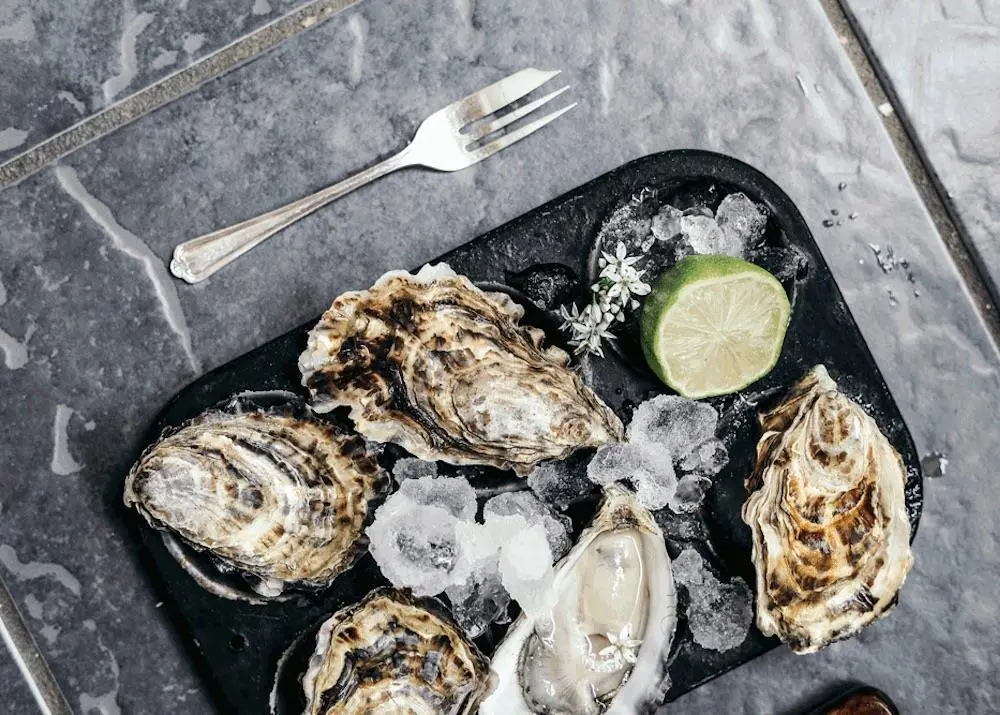 oysters