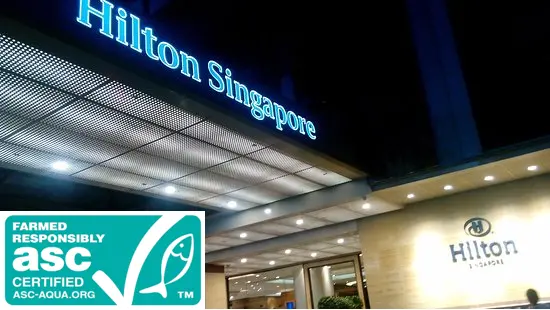 00_66705_Hilton