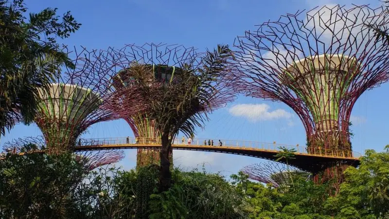 00_66707_Singapore