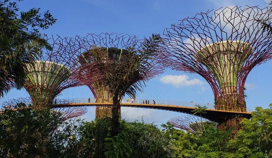 00_66707_Singapore