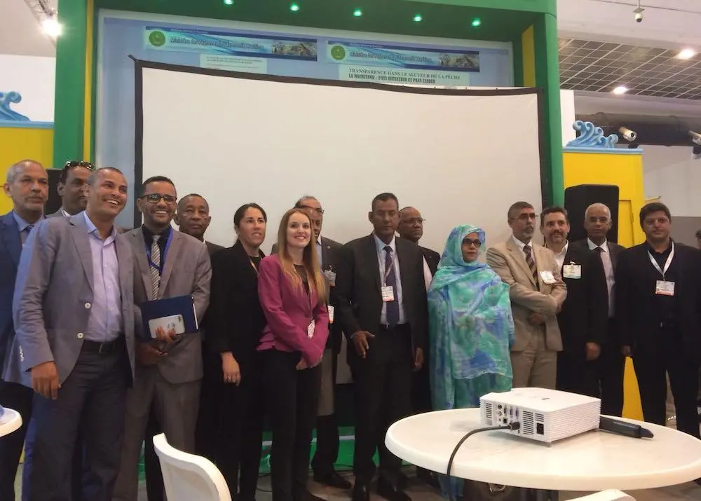 Octopus FIP participants