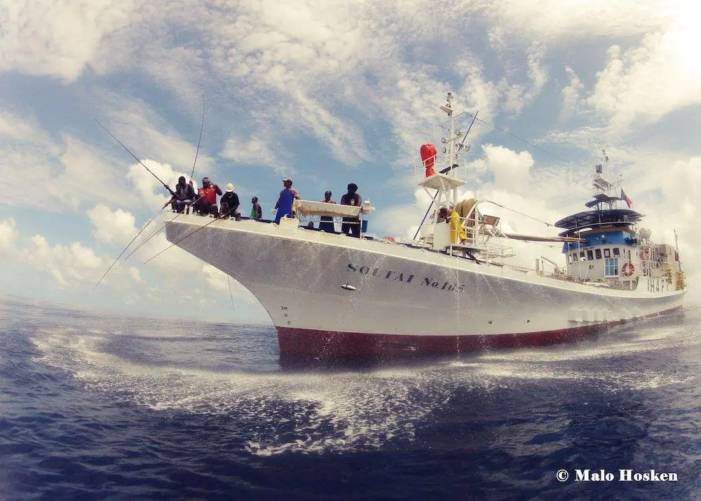 Tuna fishing