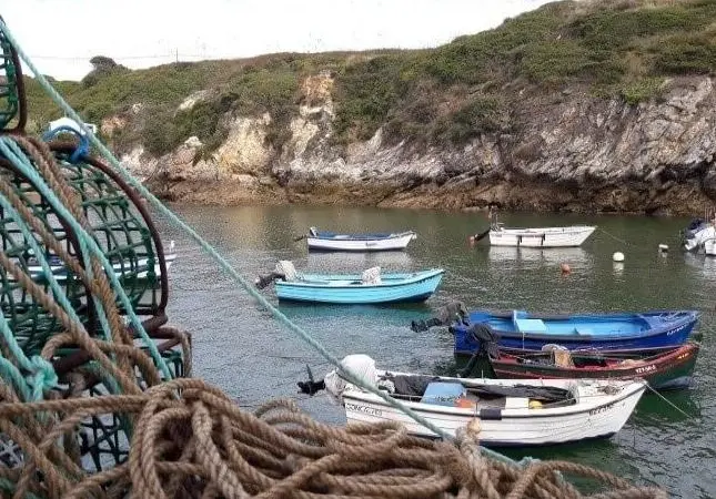 Small fishing vessels in Europe