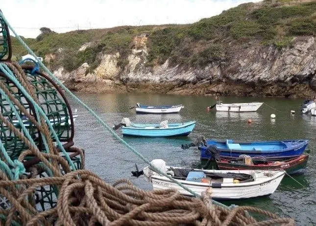Small fishing vessels in Europe