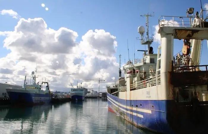 DS-Concept becomes Tradewind and expands its service range