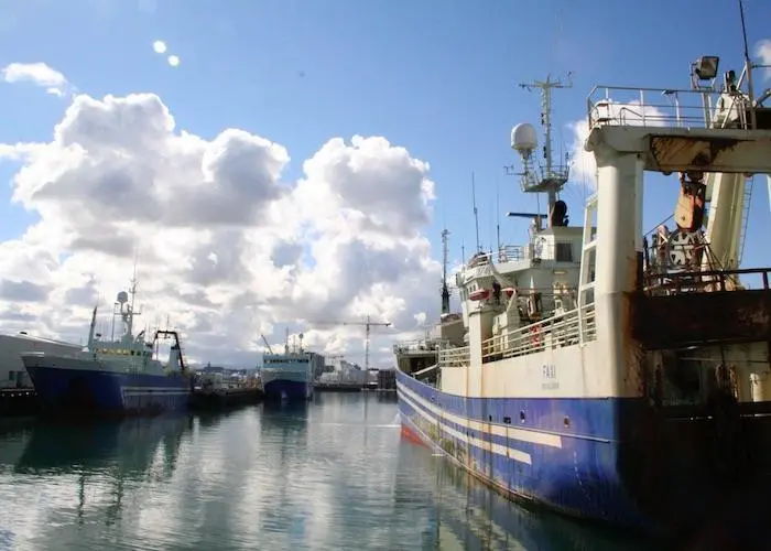 DS-Concept becomes Tradewind and expands its service range