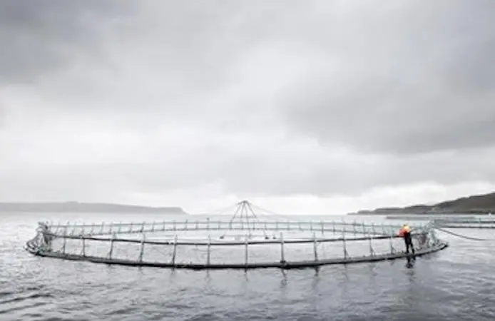 Fish farming