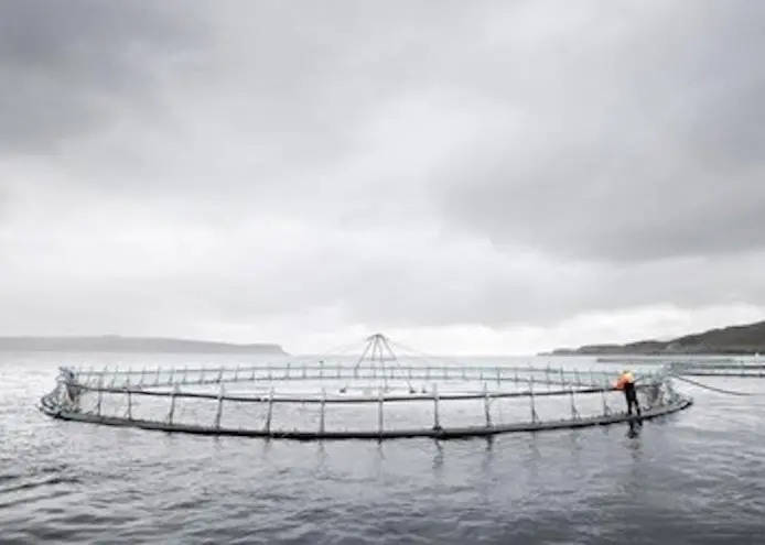 Fish farming