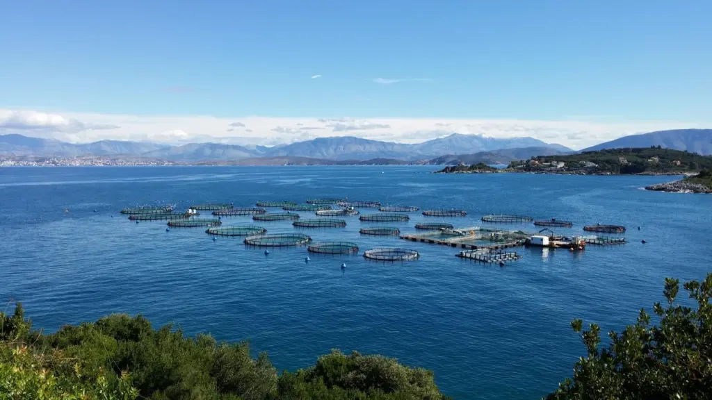 00_66785_CORFU-SEA-FARM-MARINE-INSTALLATIONS