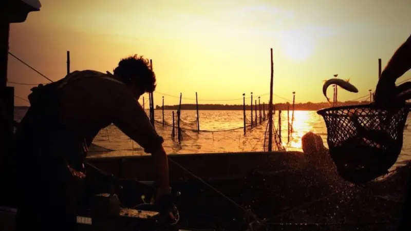 Sea Pact will fund three new aquaculture projects to help drive sustainability in the industry