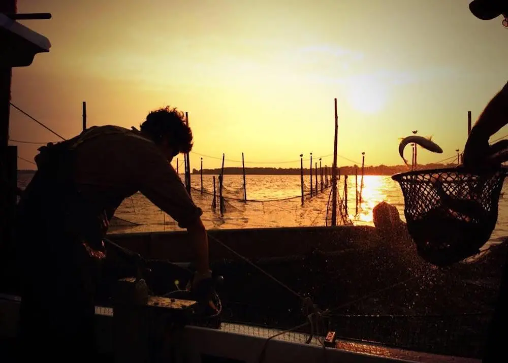 Sea Pact will fund three new aquaculture projects to help drive sustainability in the industry