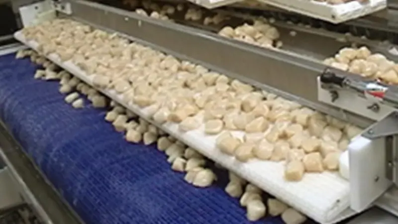 ACF invests in tunnel freezer and ice system