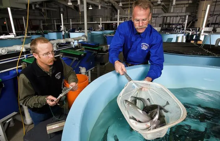 Growing interest in alternative feeds